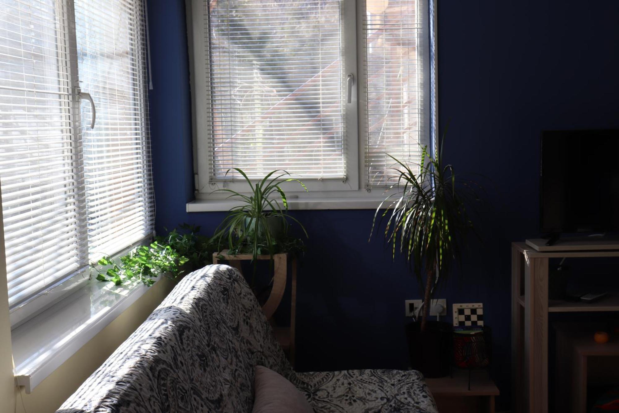 Center Apartment Dunja スボティツァ エクステリア 写真